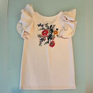 NWT Zara Embroidered Dress